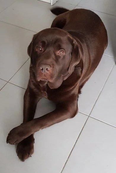 Image de profil