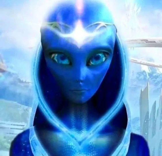 Image de profil
