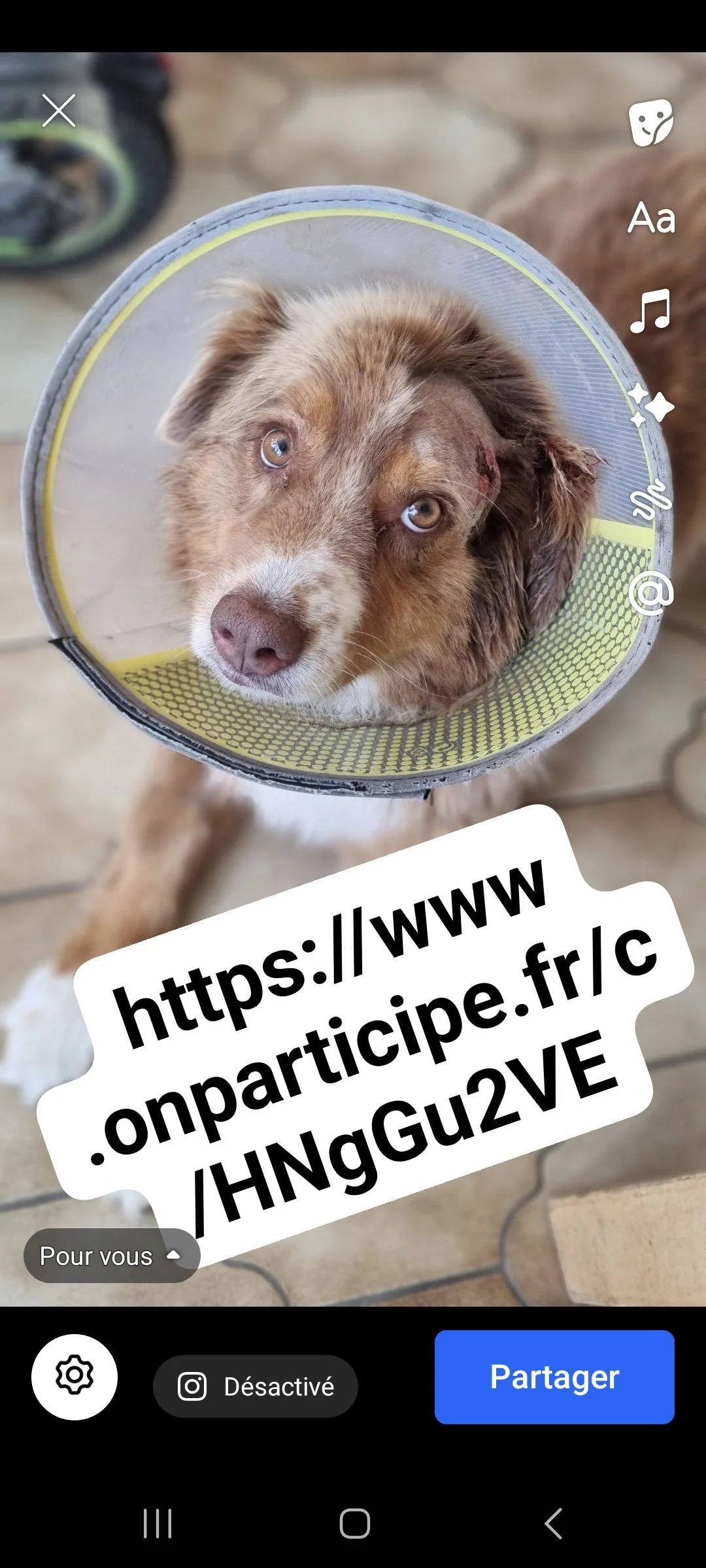 Image de profil