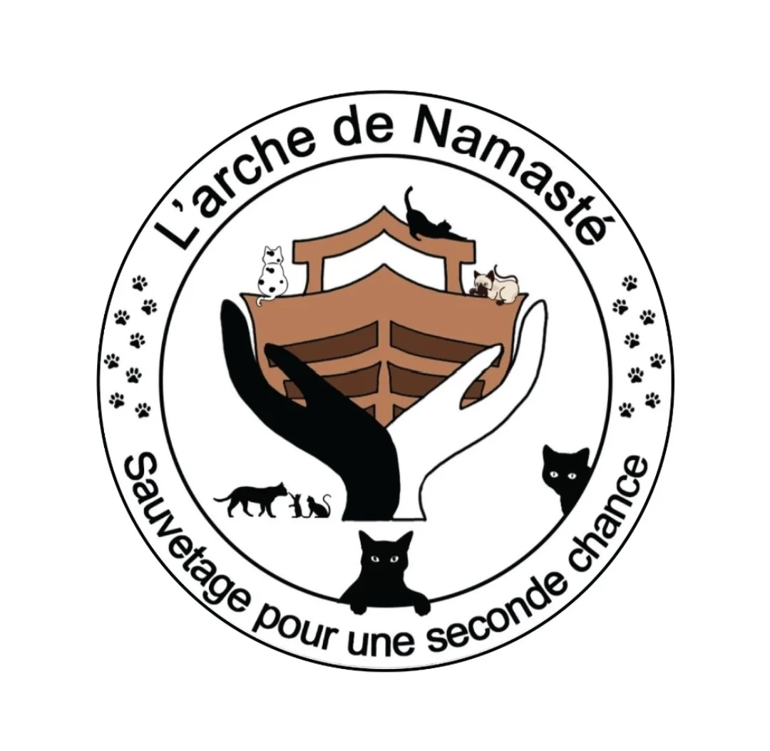 Image de profil