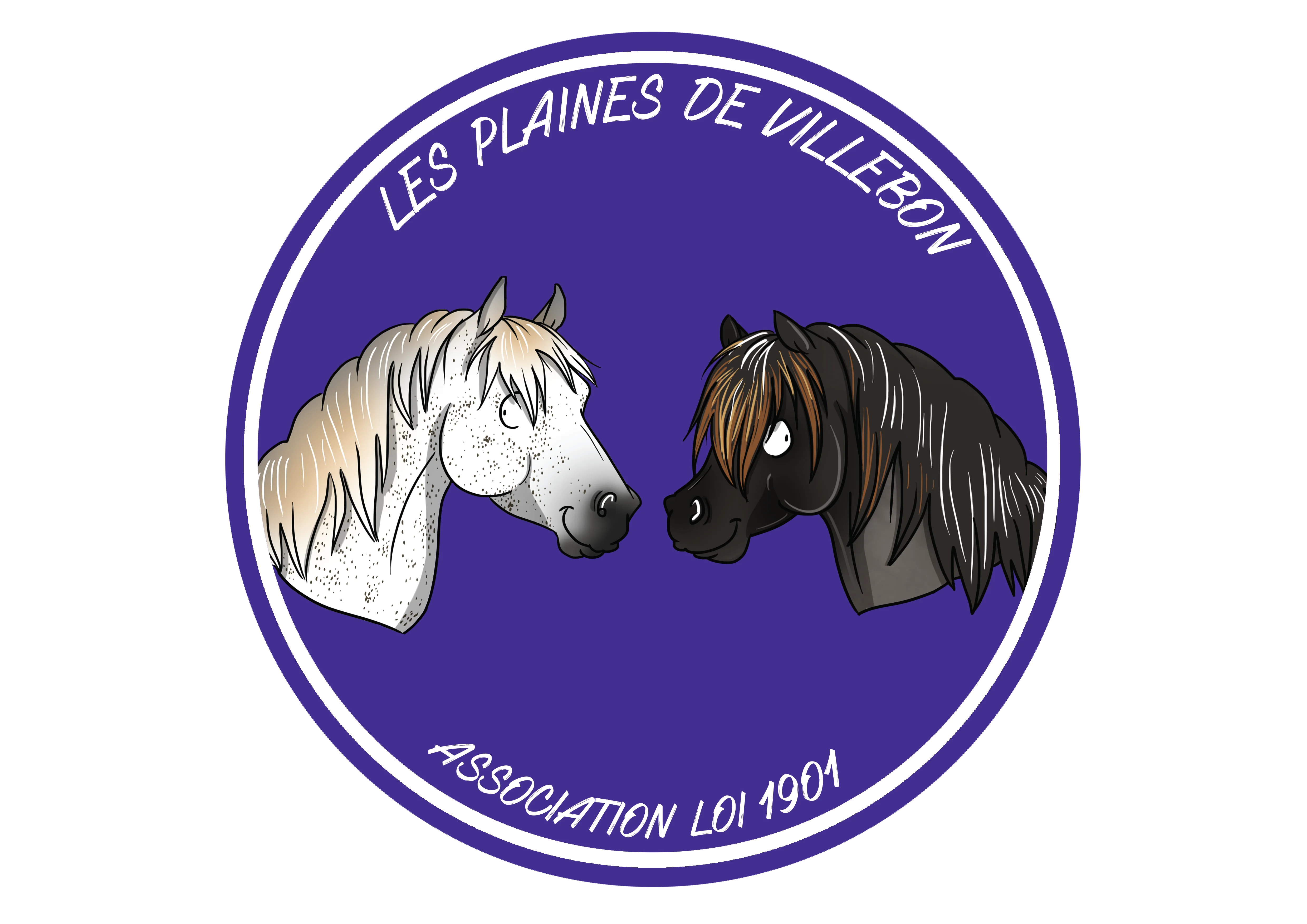 Image de profil
