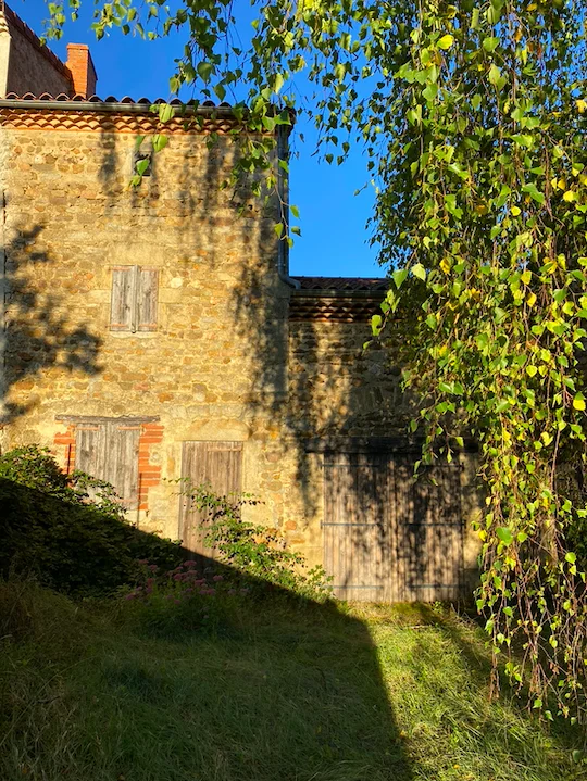 Image de profil