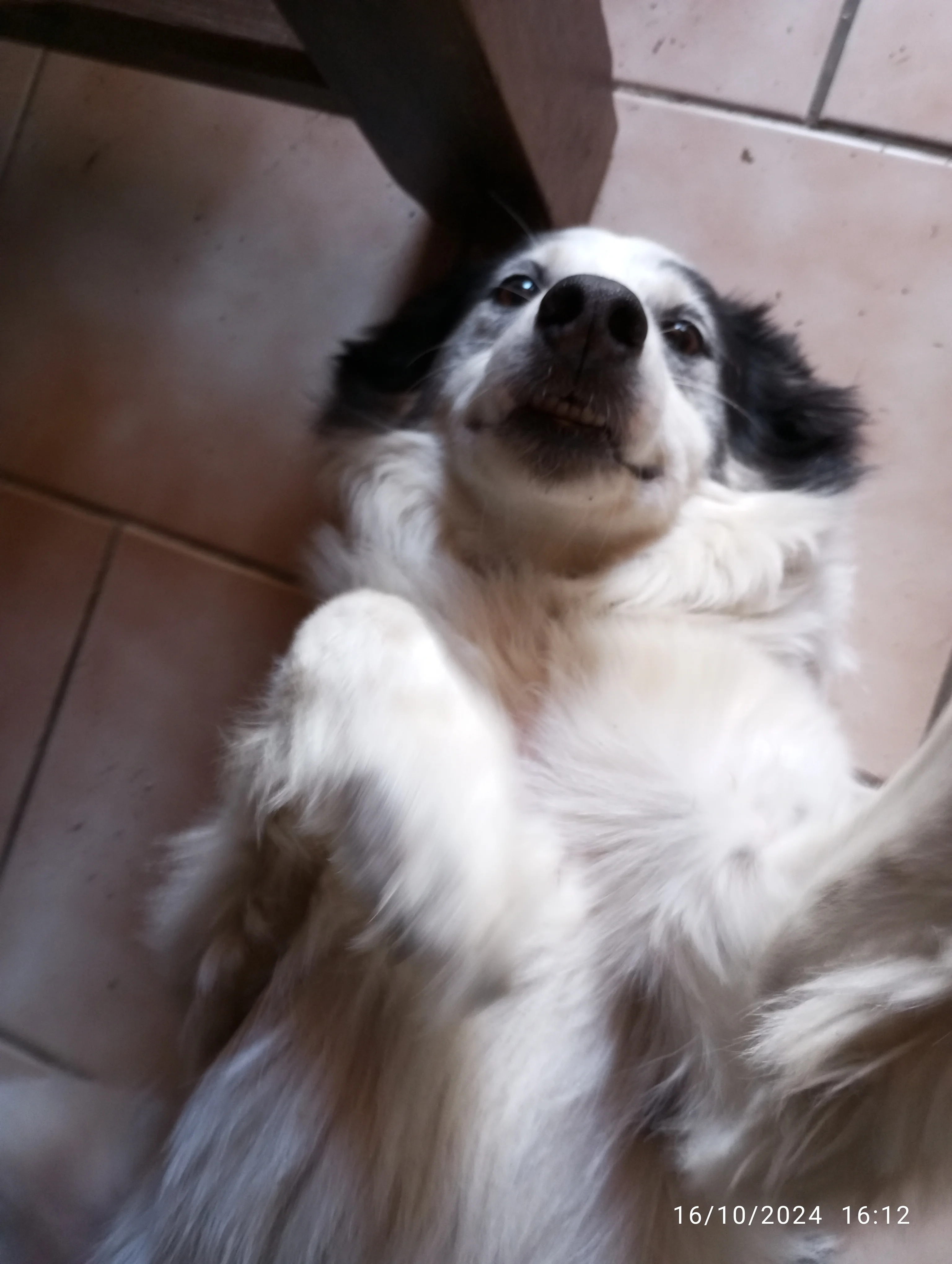 Image de profil