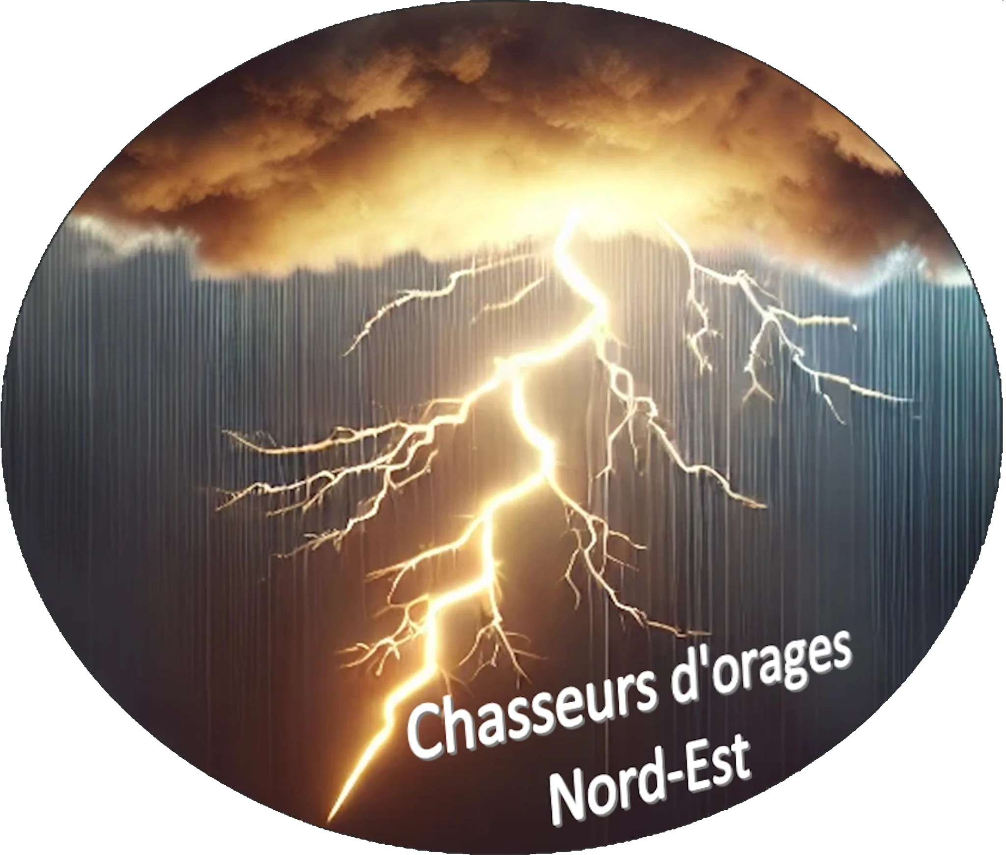 Image de profil