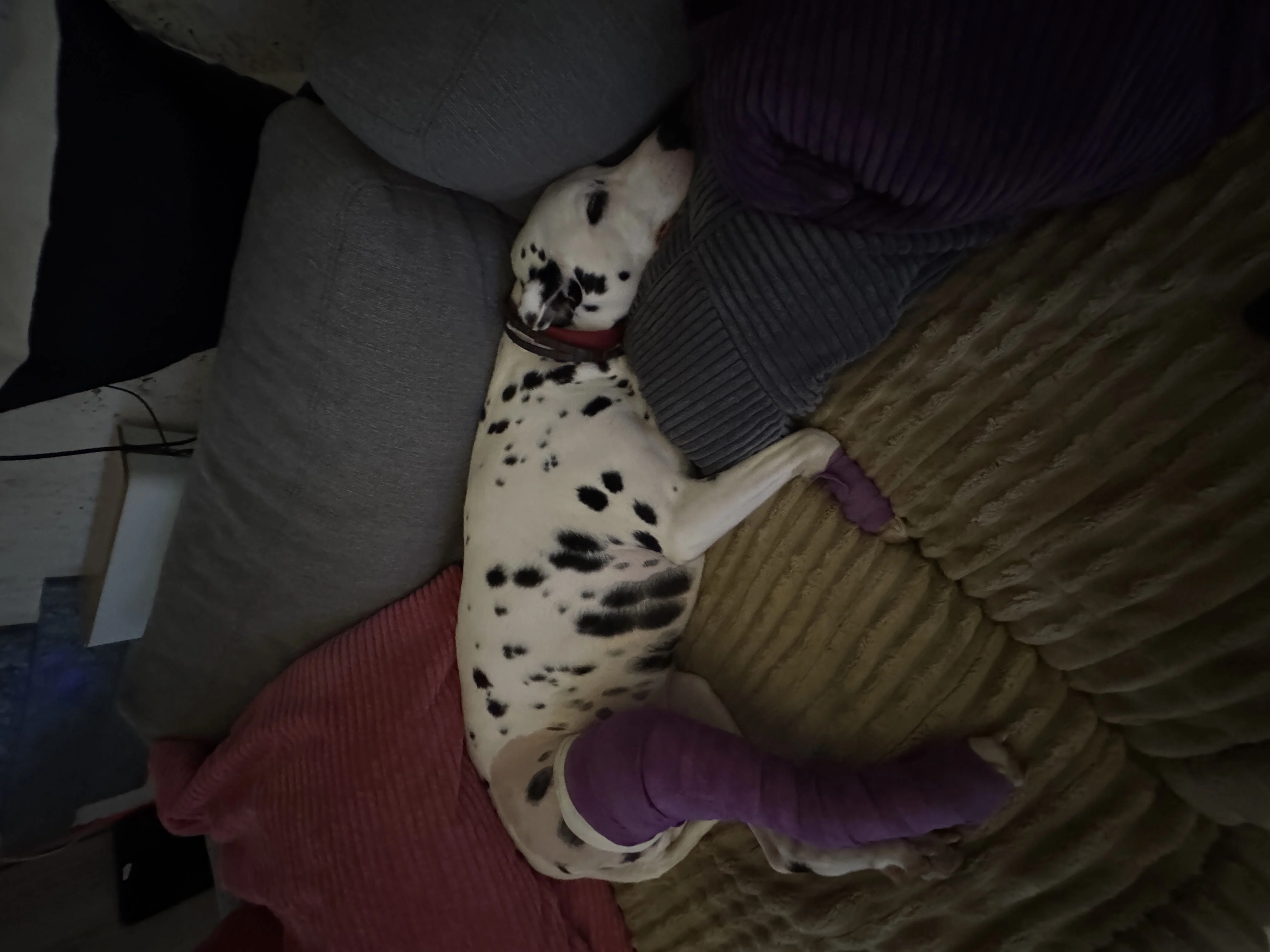 Image de profil