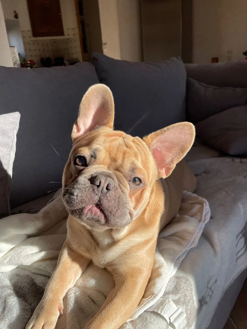 Image de profil