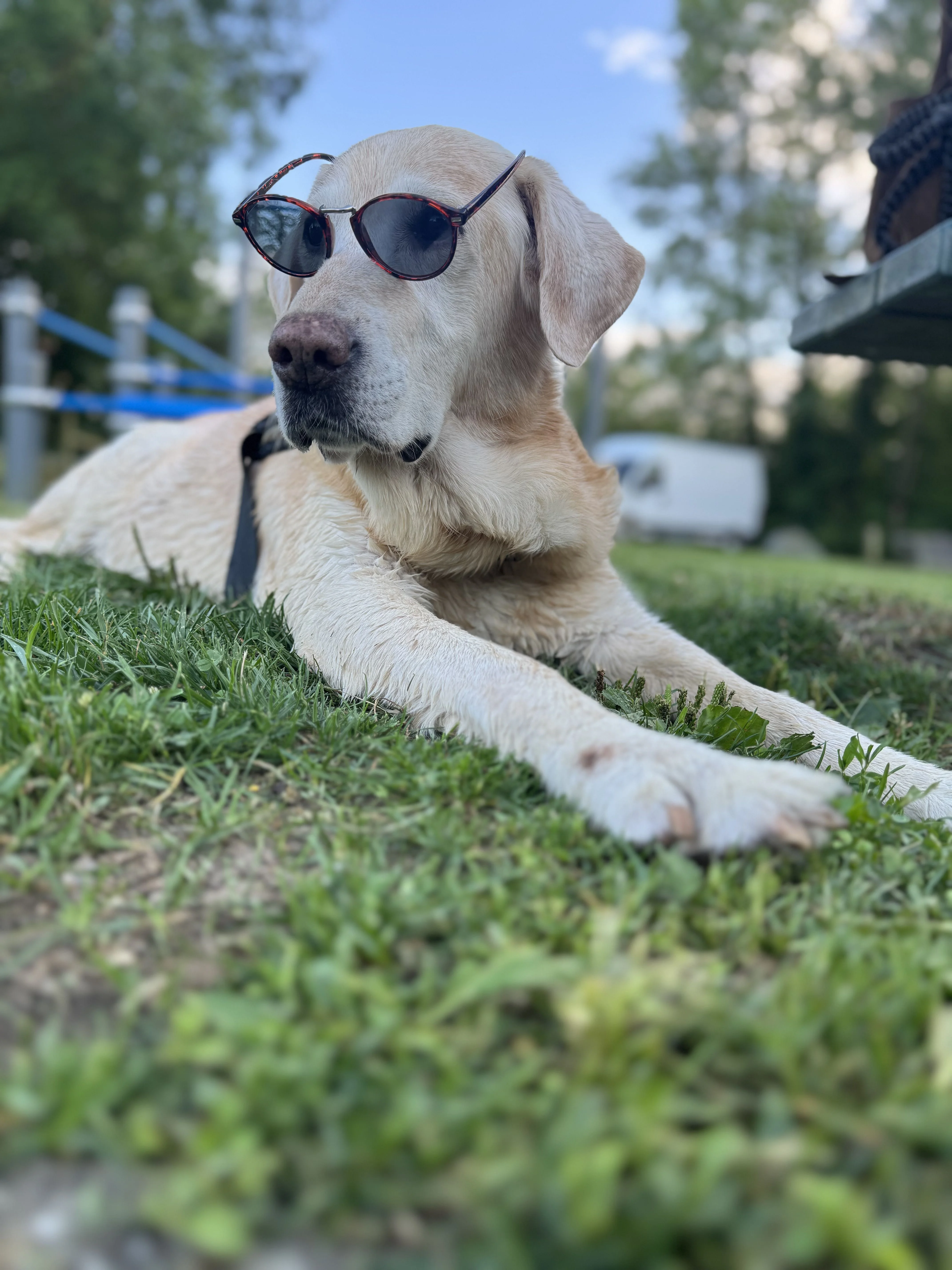 Image de profil