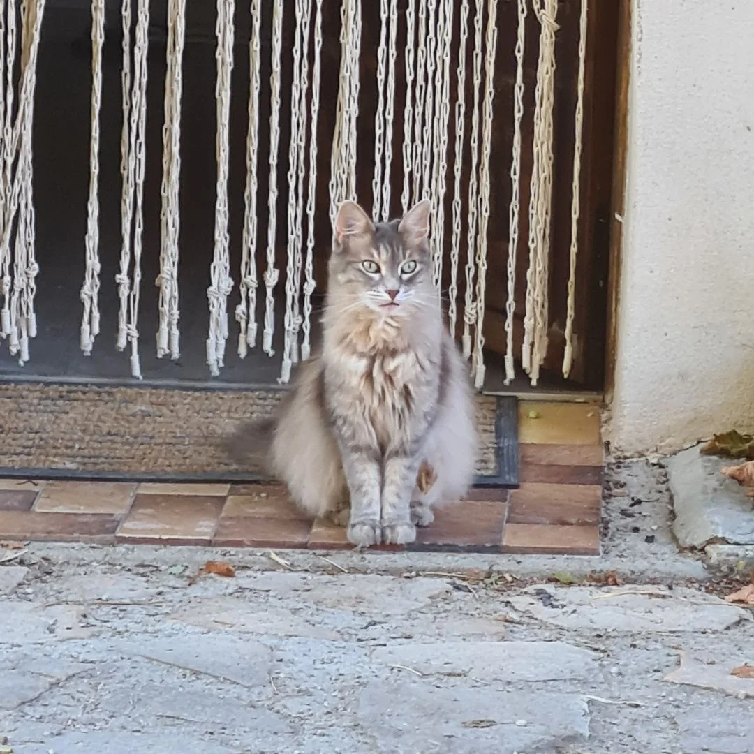 Image de profil