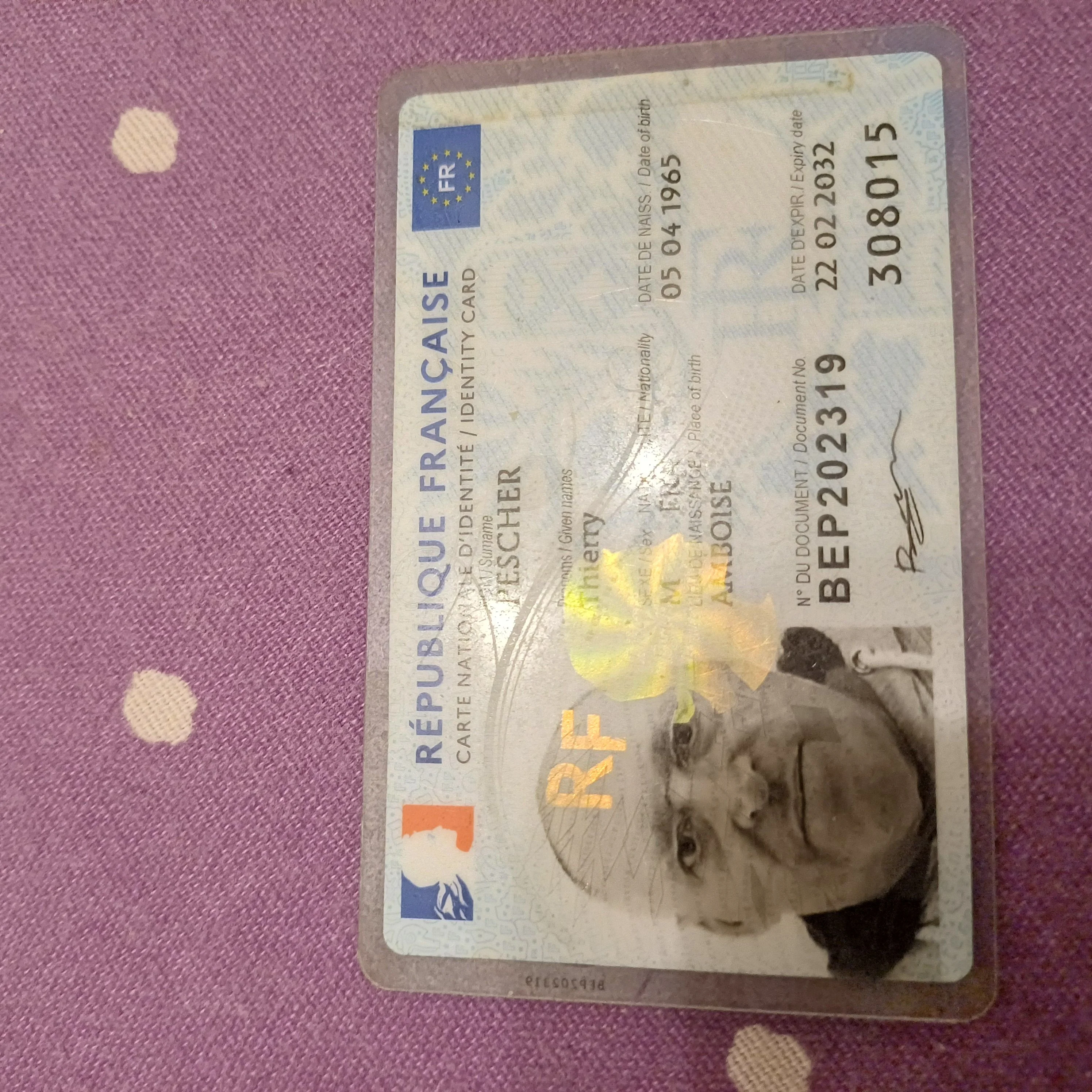 Image de profil