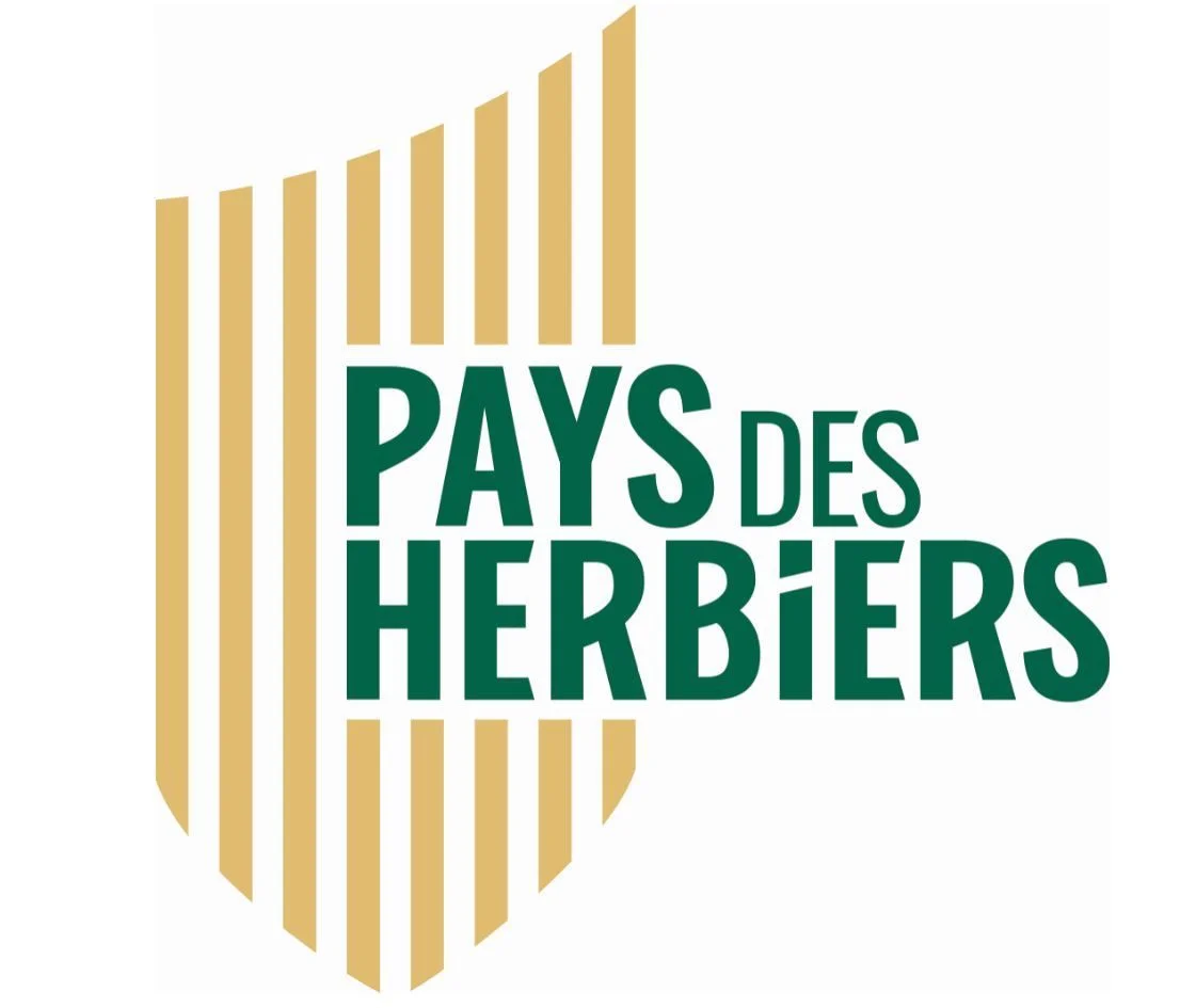 Image de profil