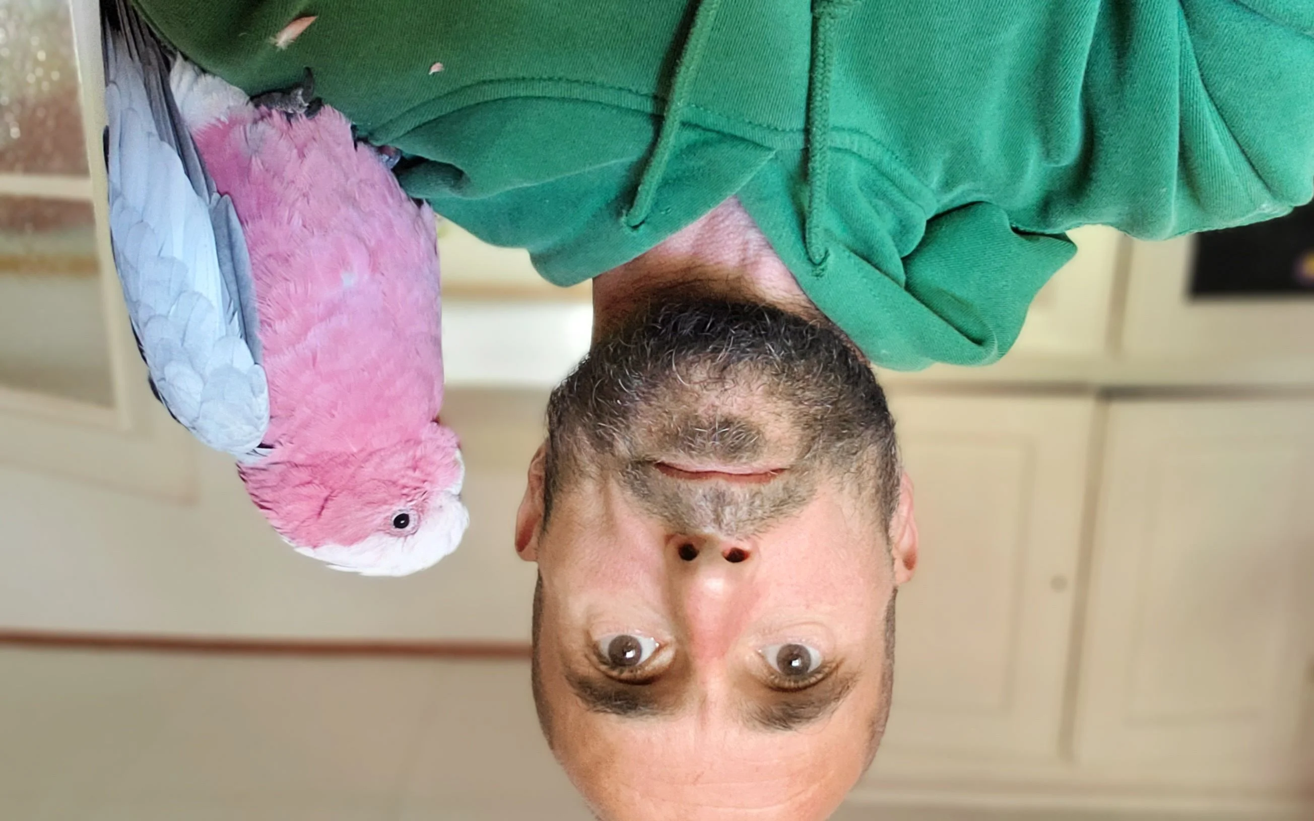 Image de profil
