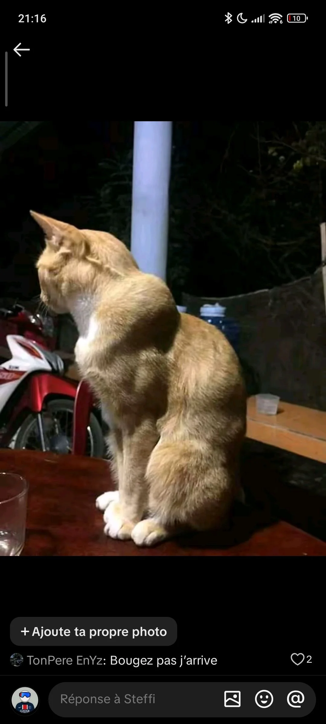 Image de profil