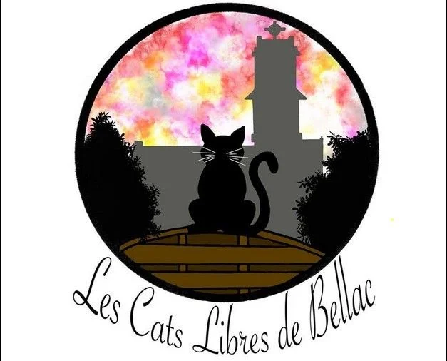 Image de profil
