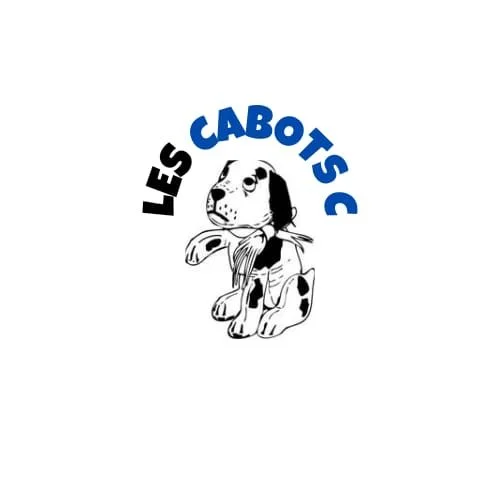 Image de profil