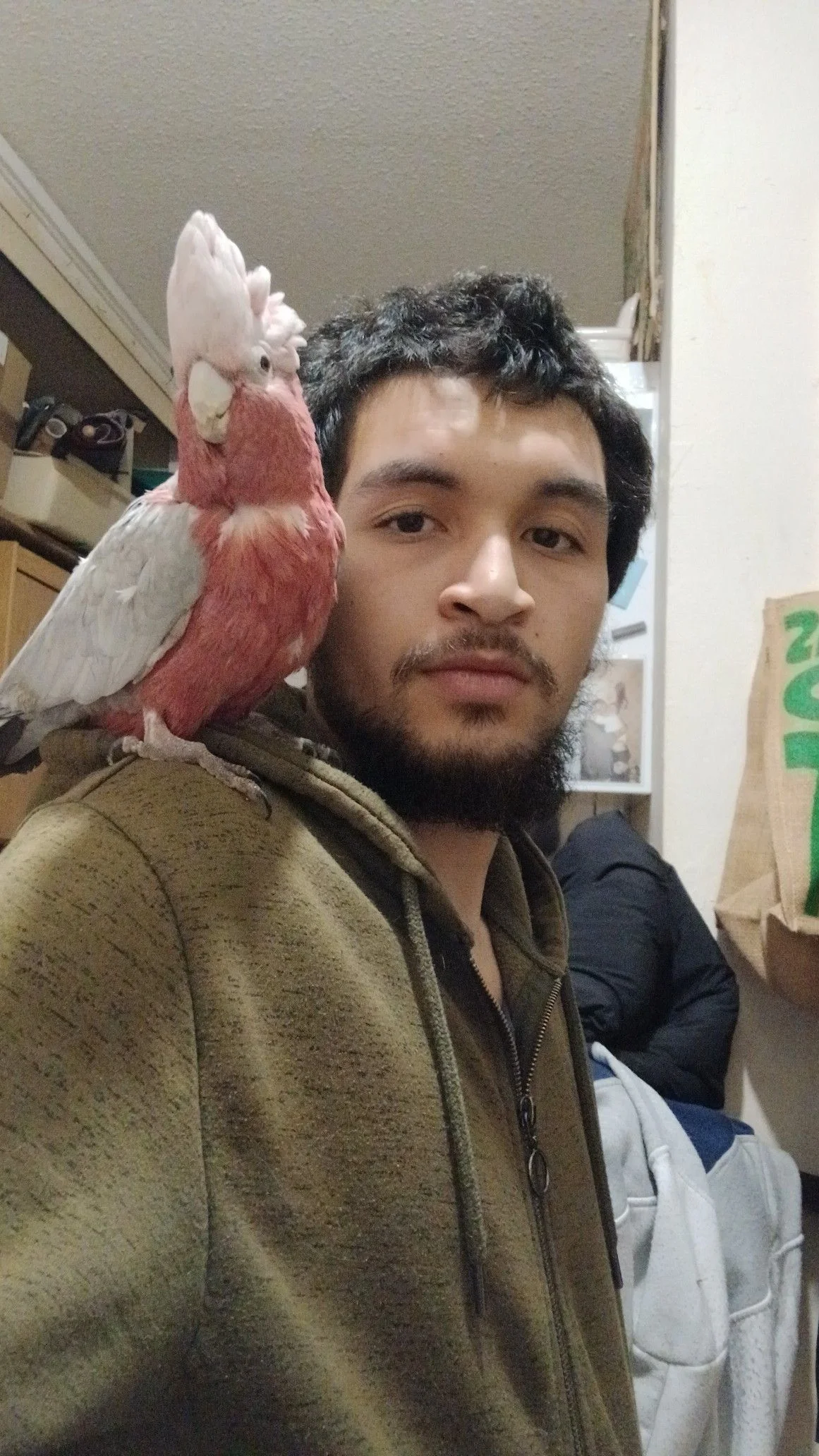 Image de profil