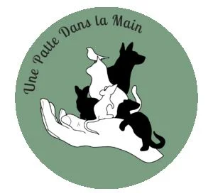 Image de profil