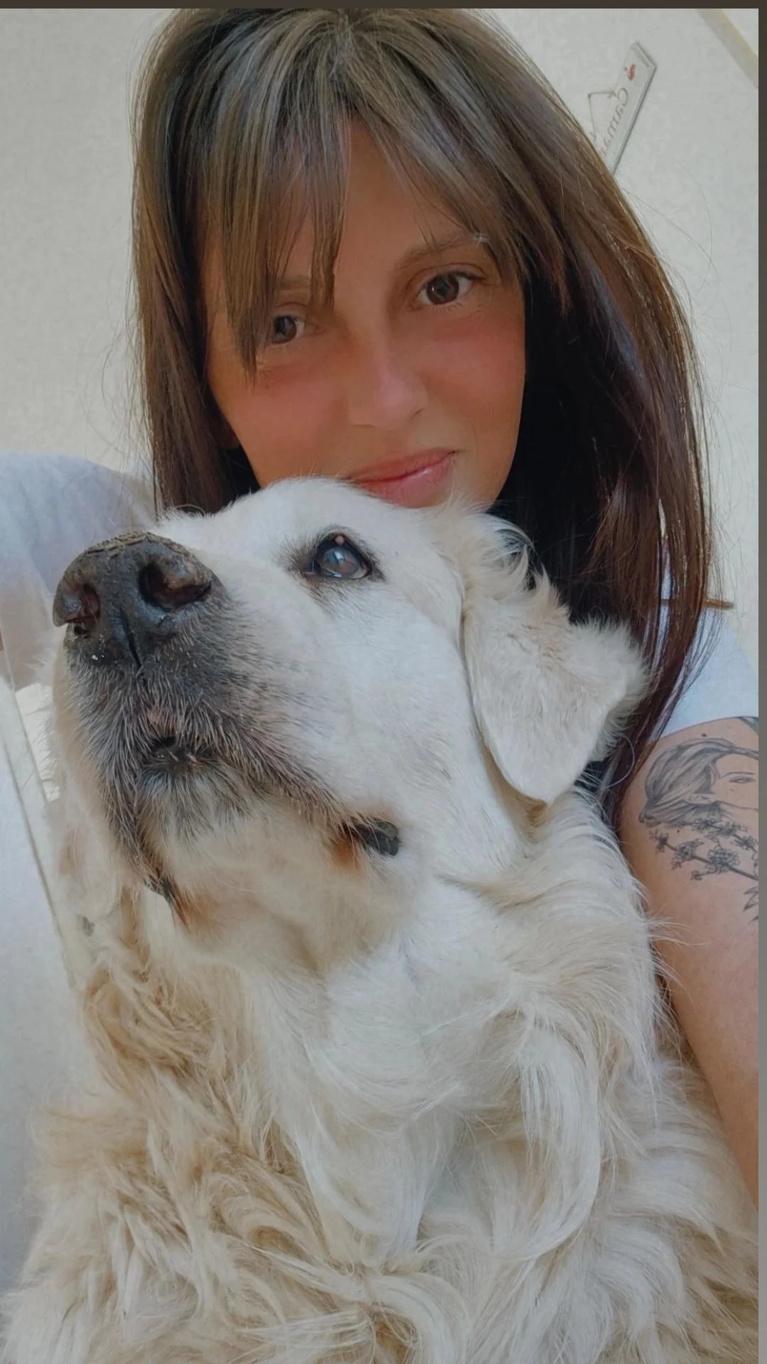 Image de profil