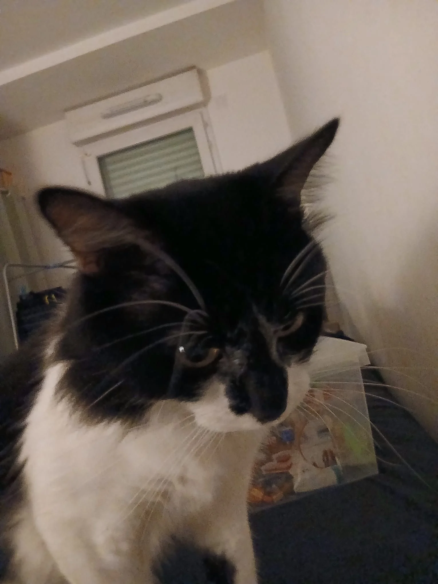 Image de profil