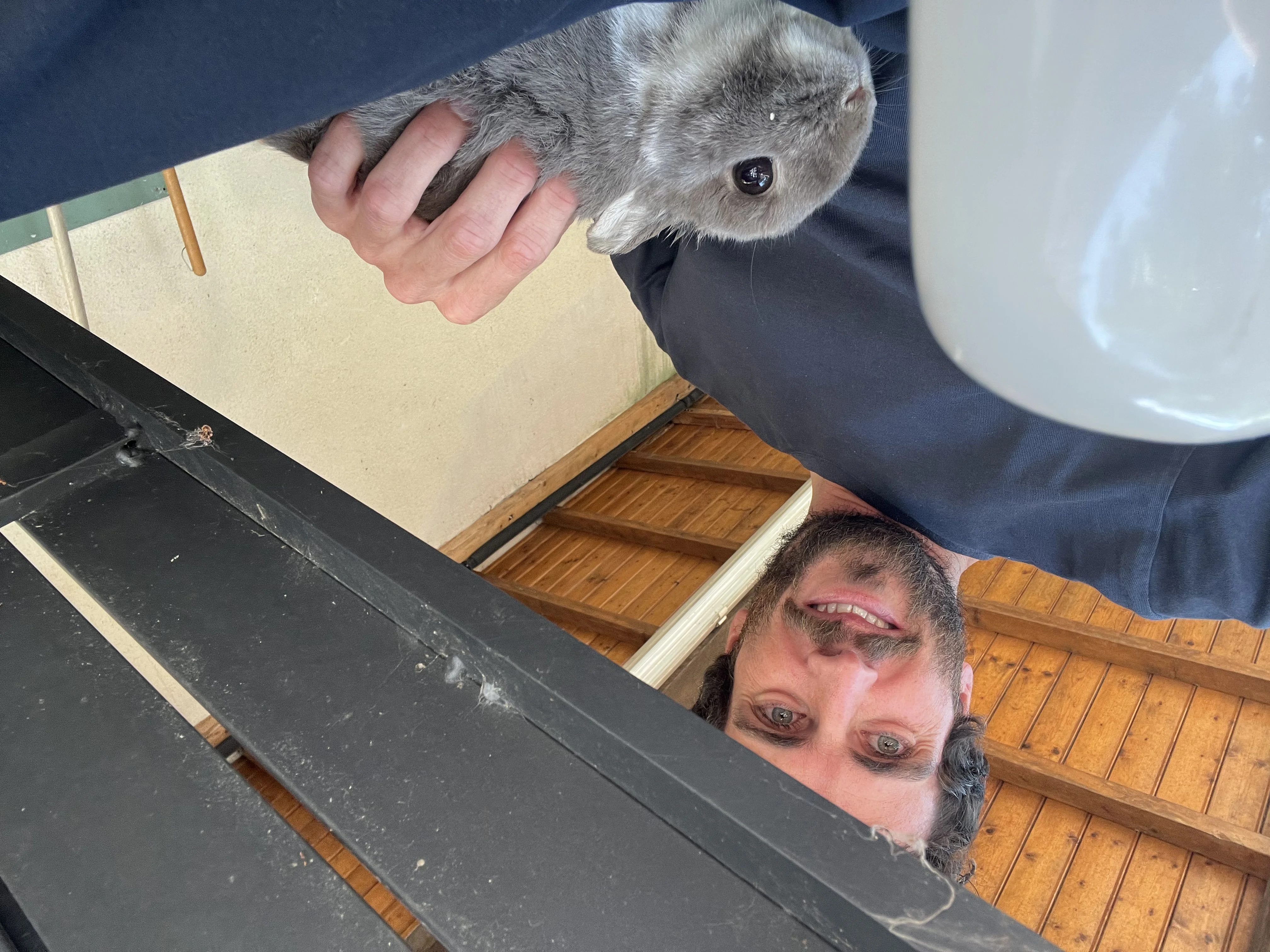 Image de profil