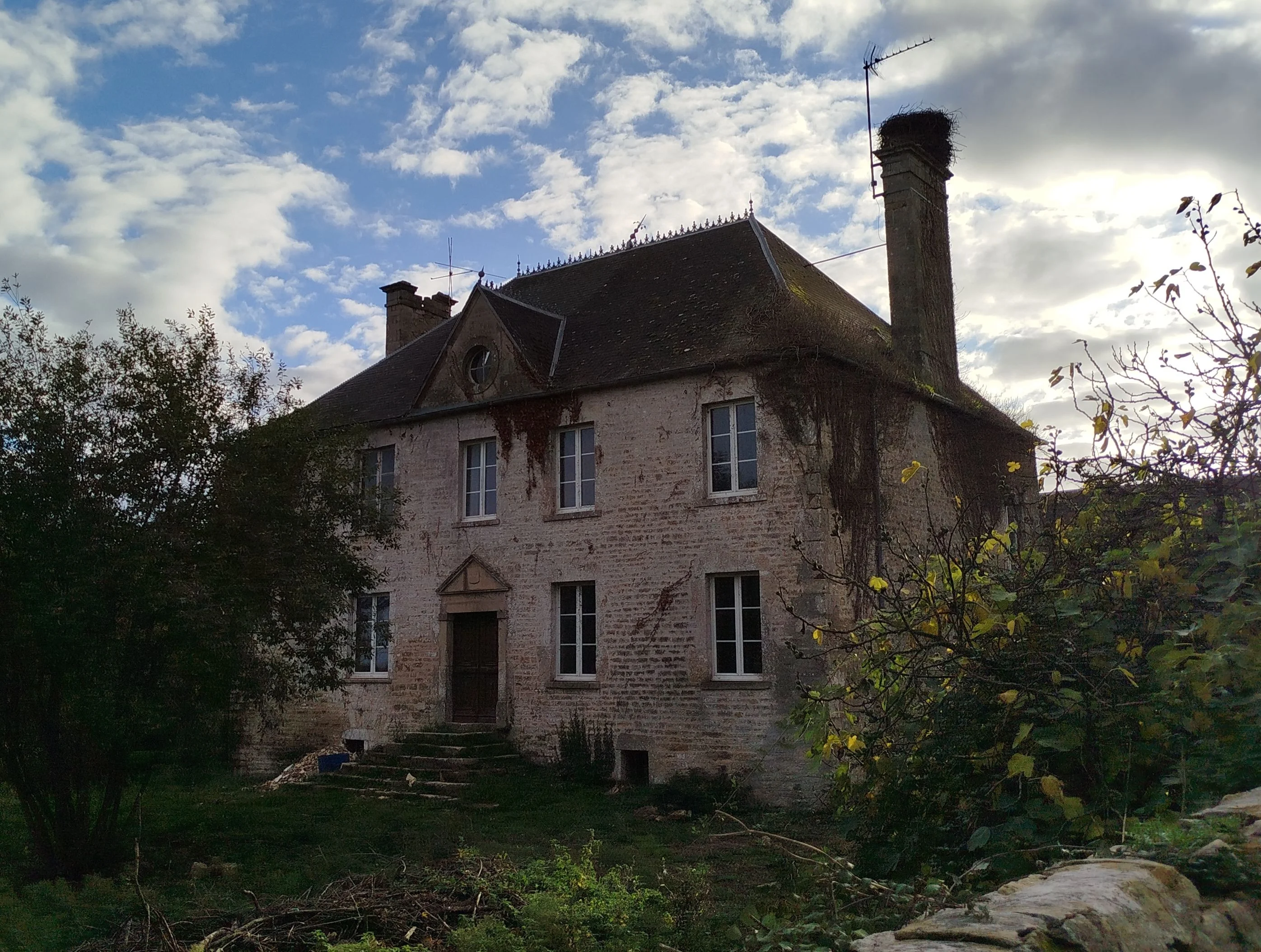 Image de profil