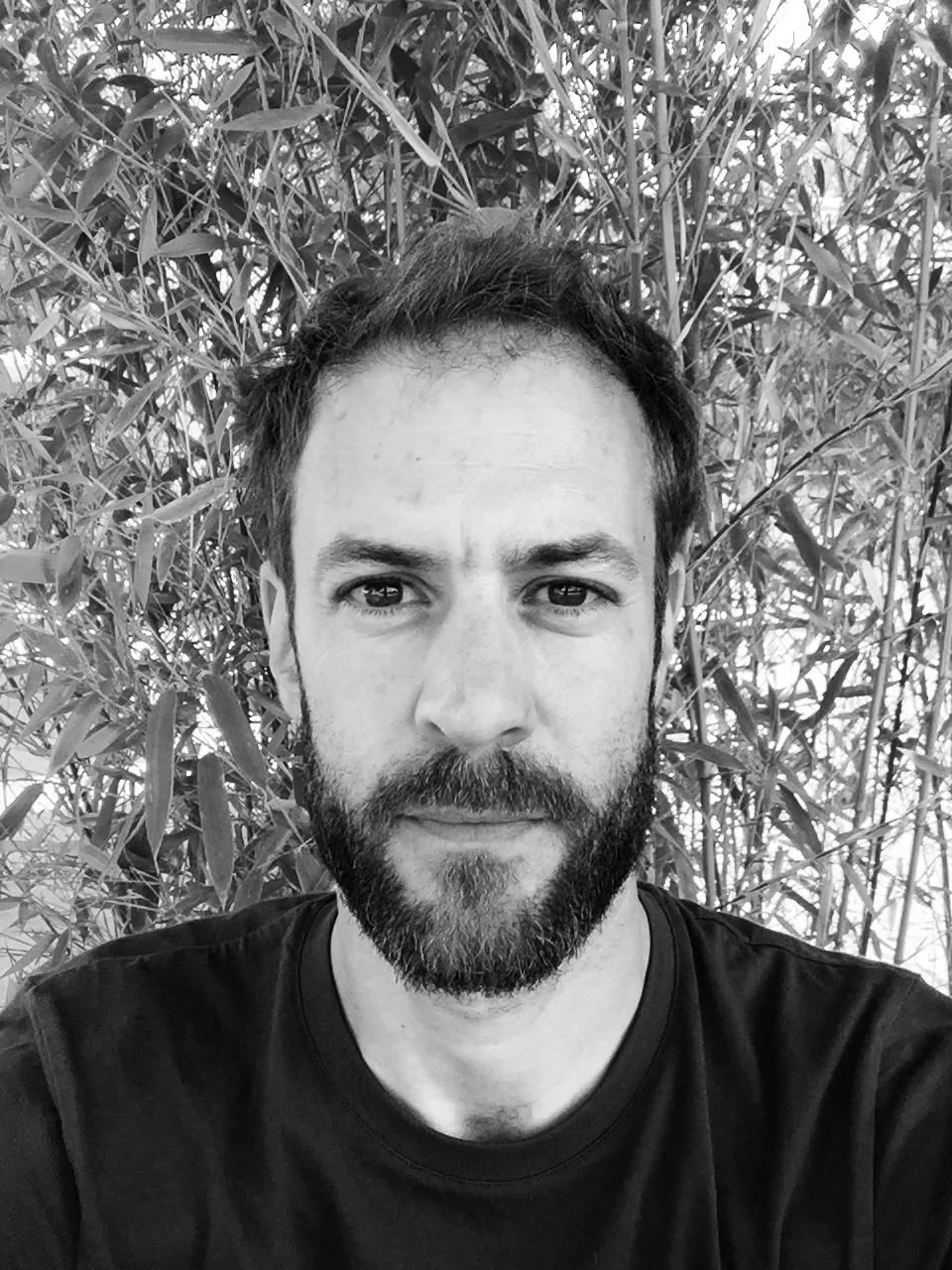 Image de profil