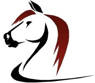 Image de profil