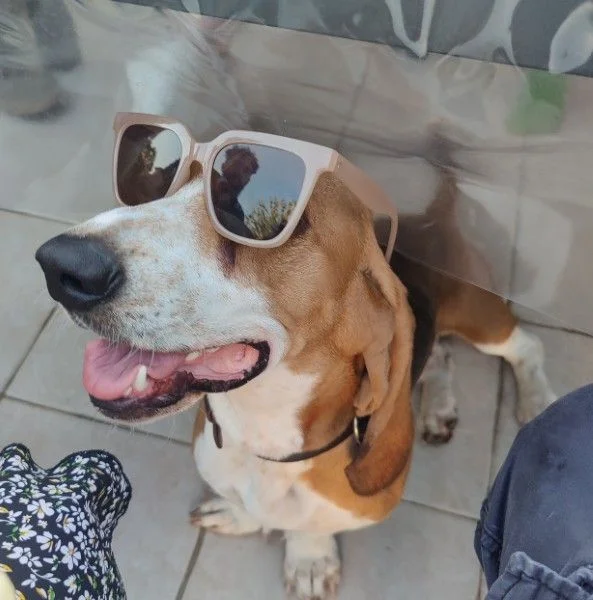 Image de profil