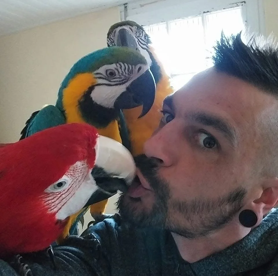 Image de profil