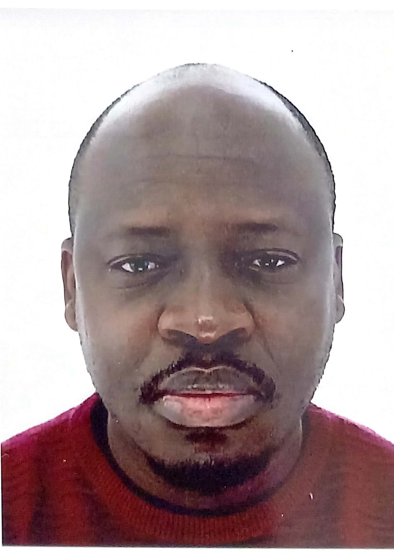 Image de profil