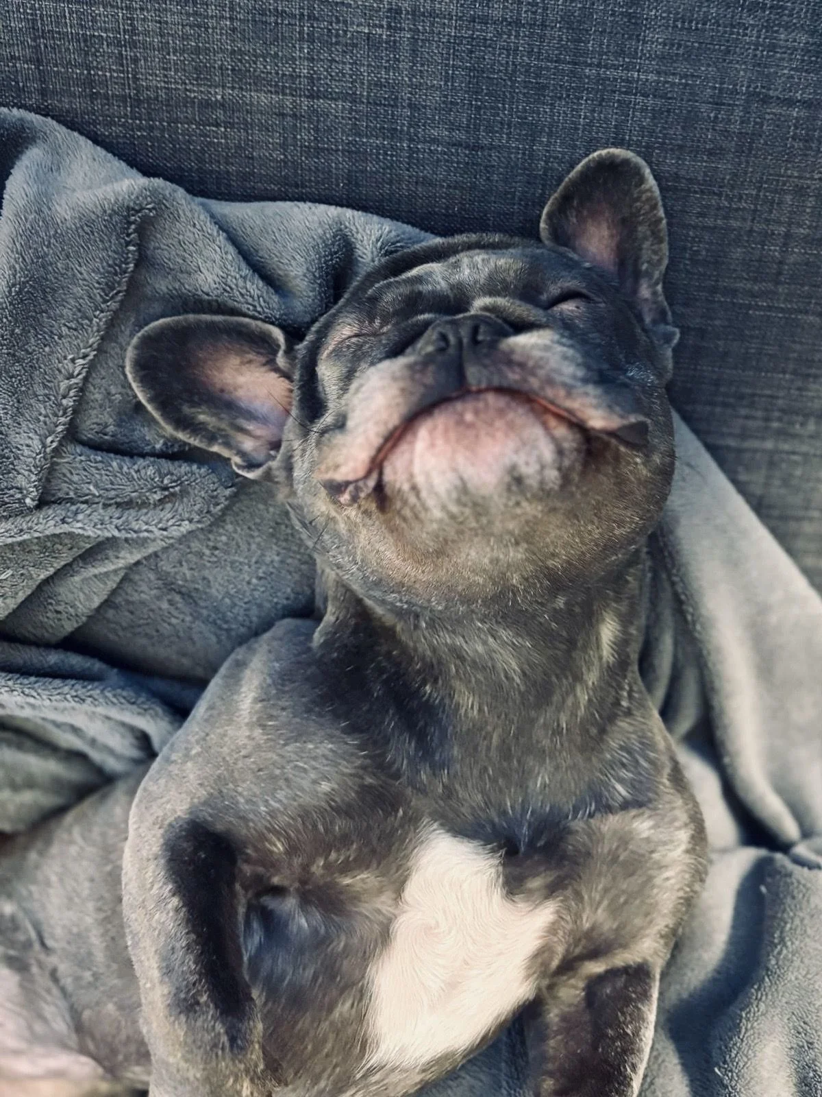 Image de profil