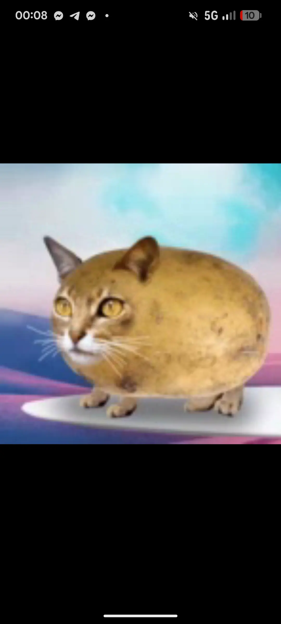 Image de profil