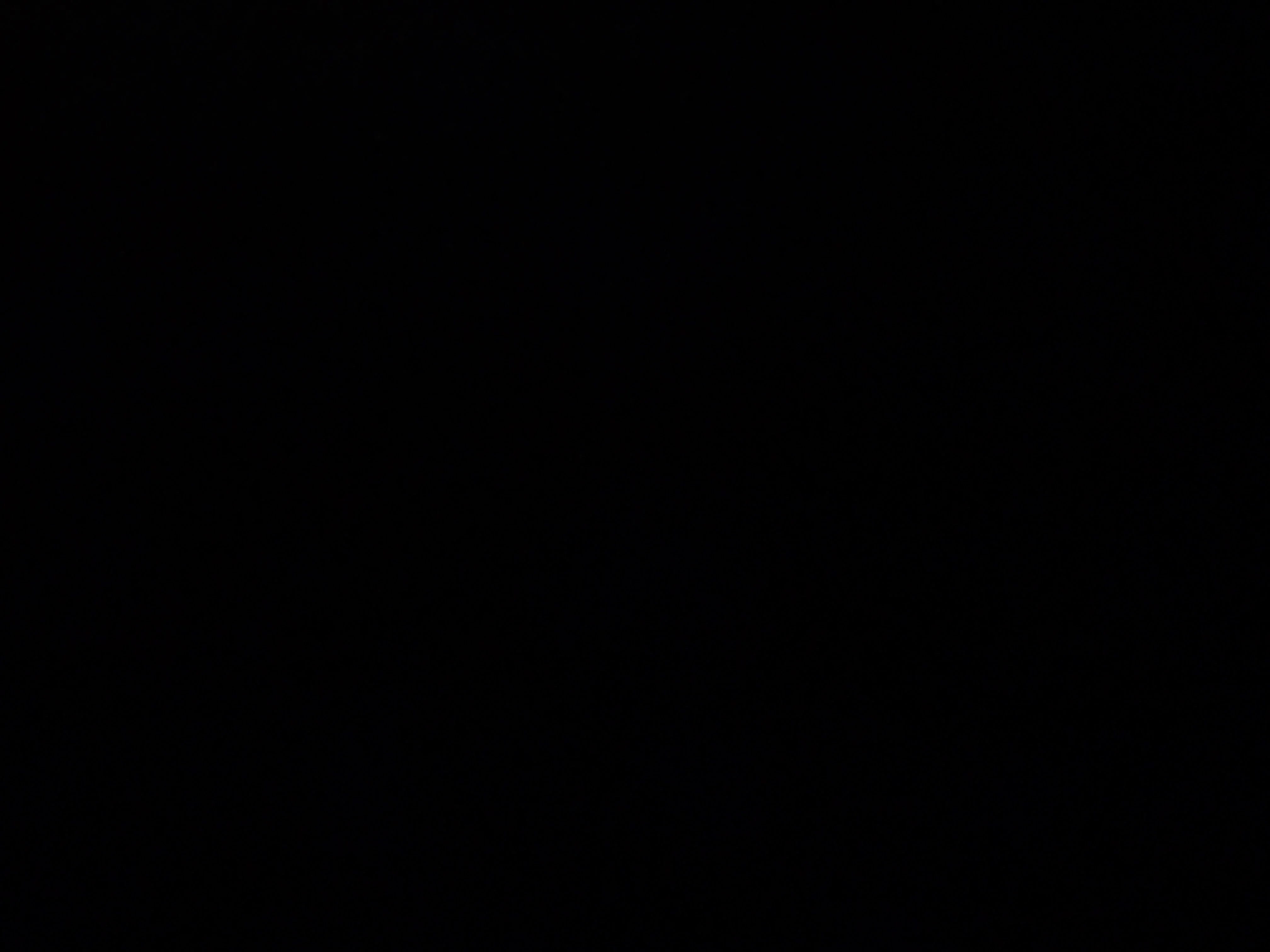 Image de profil