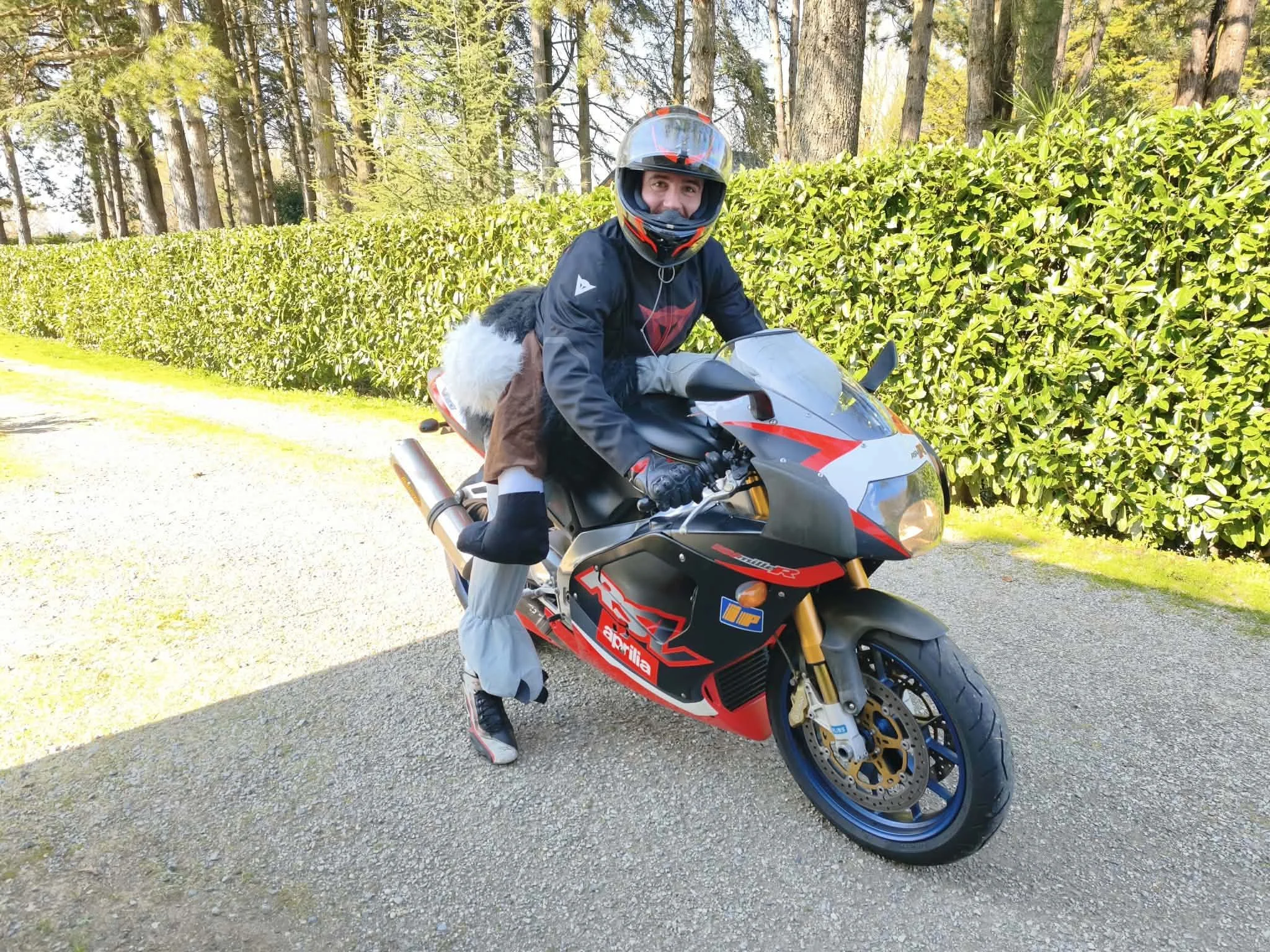 Image de profil