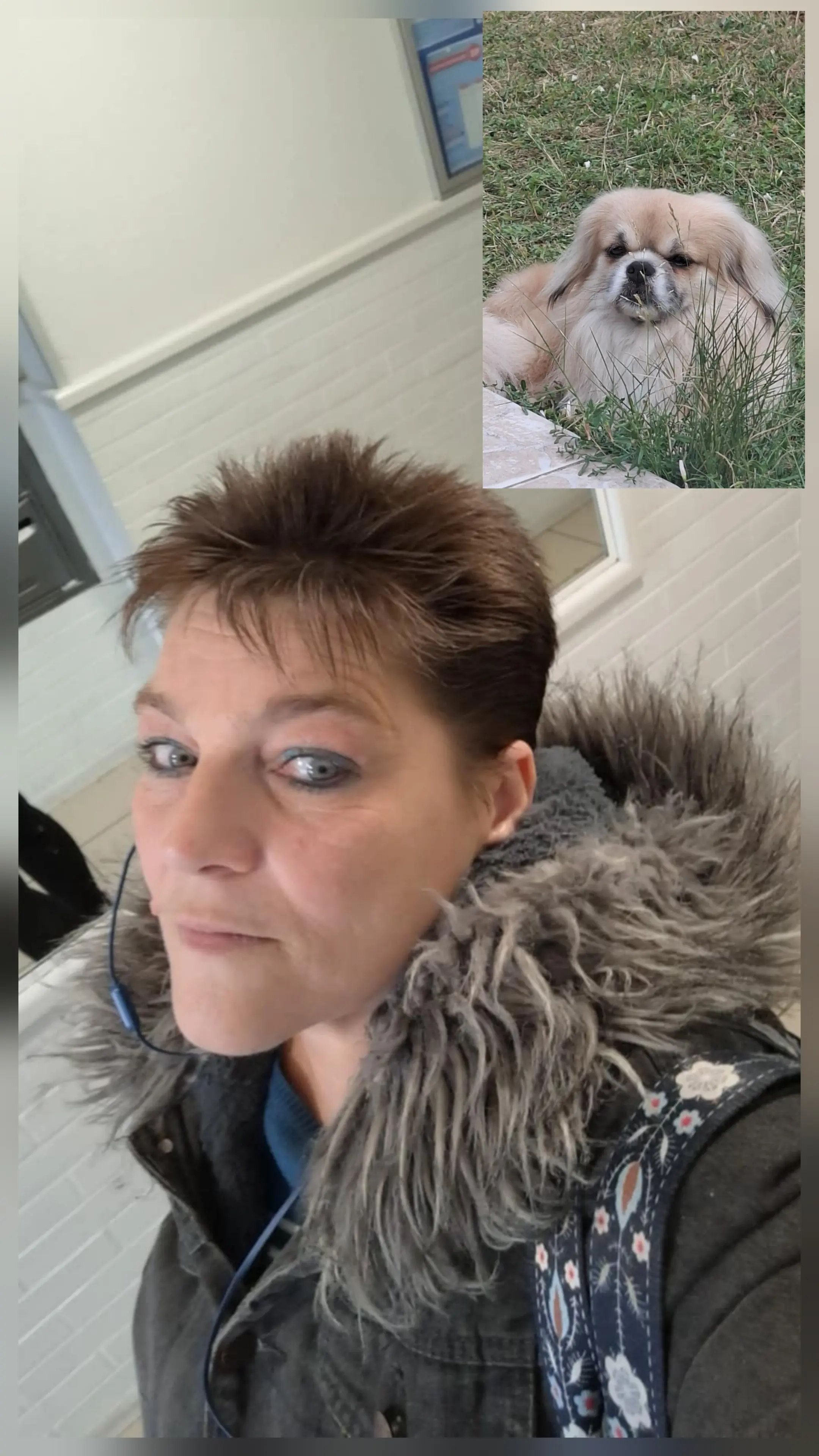 Image de profil