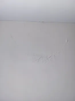 Image de profil