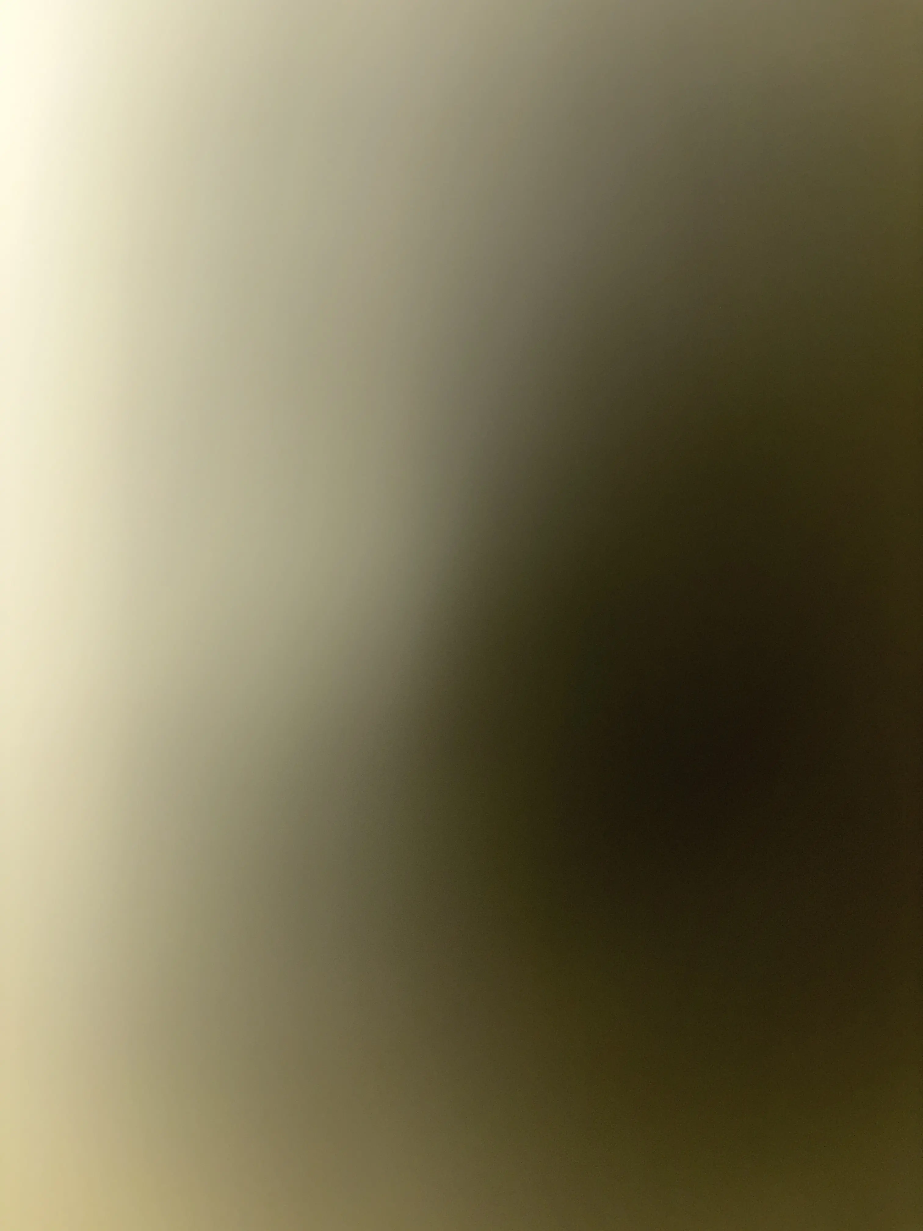 Image de profil