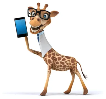 Image de profil