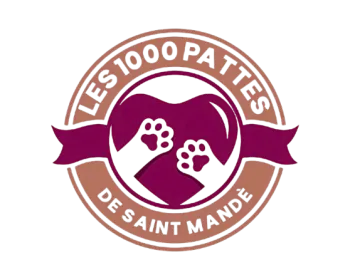 Image de profil