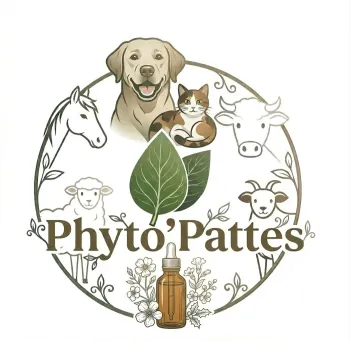Image de profil