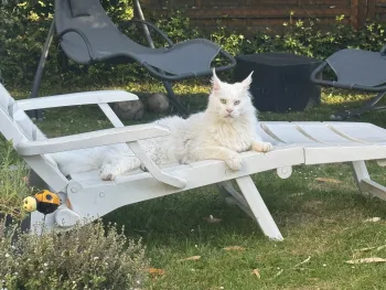 Image de profil