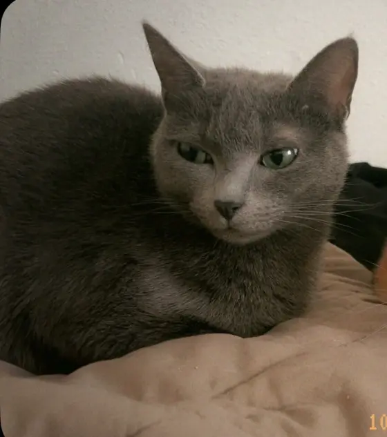Image de profil