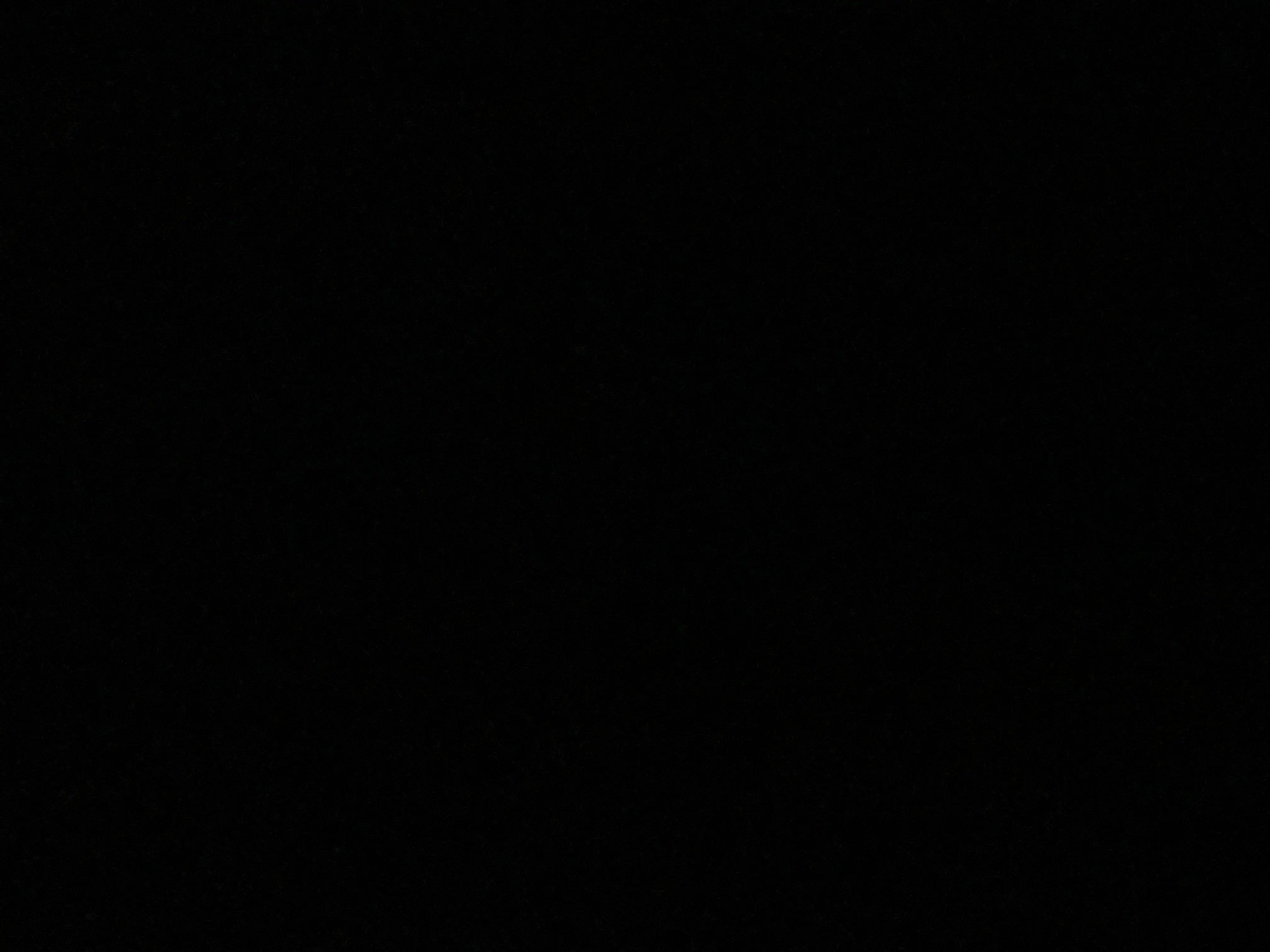 Image de profil