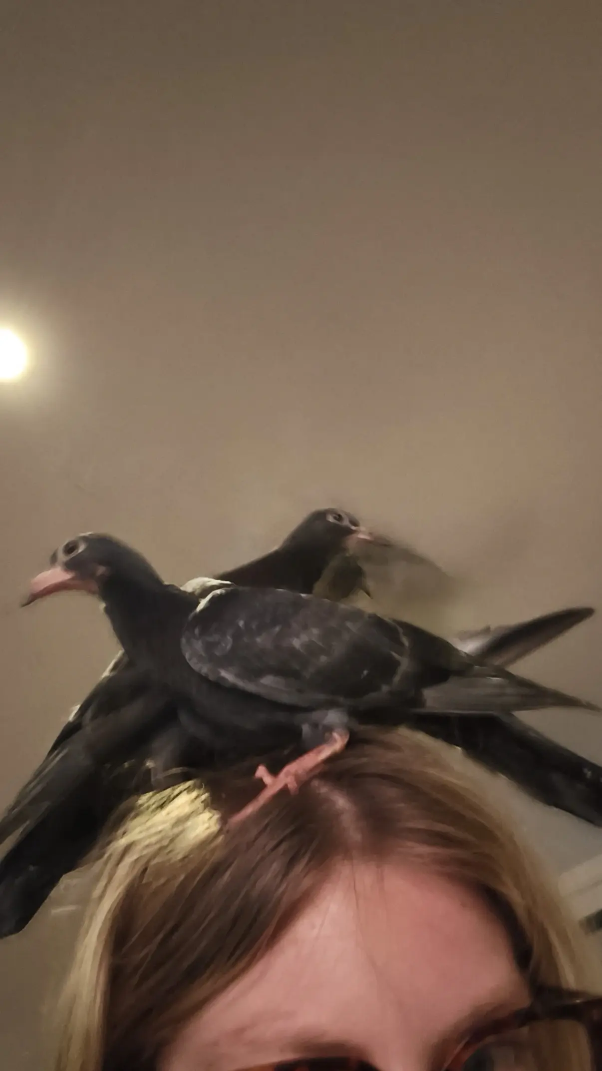 Image de profil