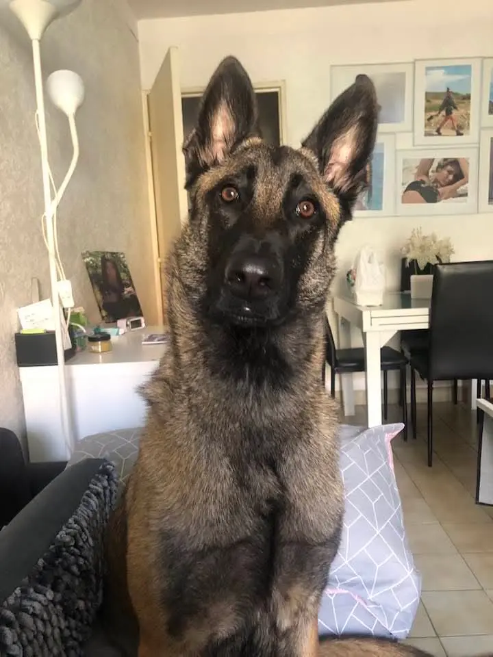 Image de profil