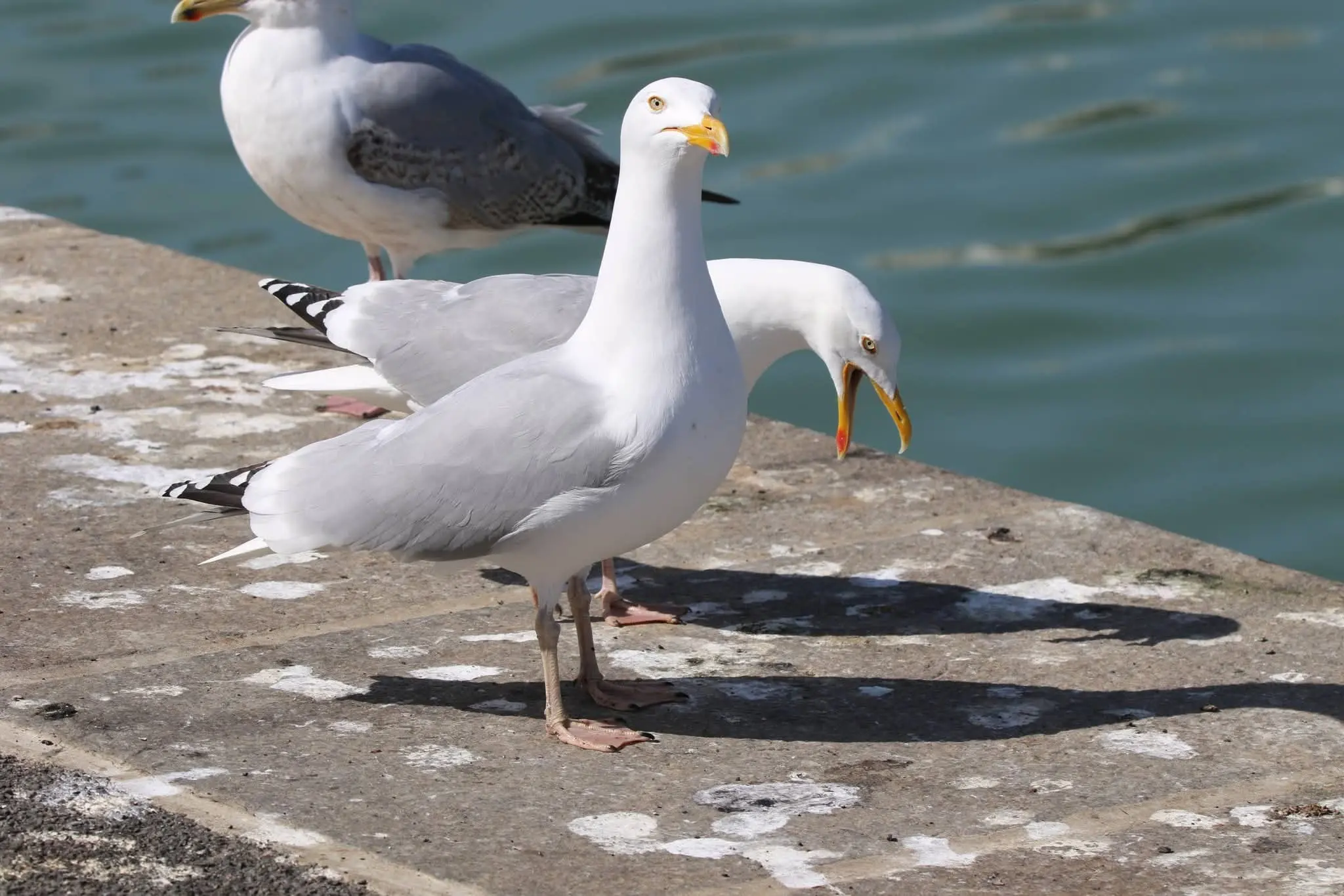 Image de profil