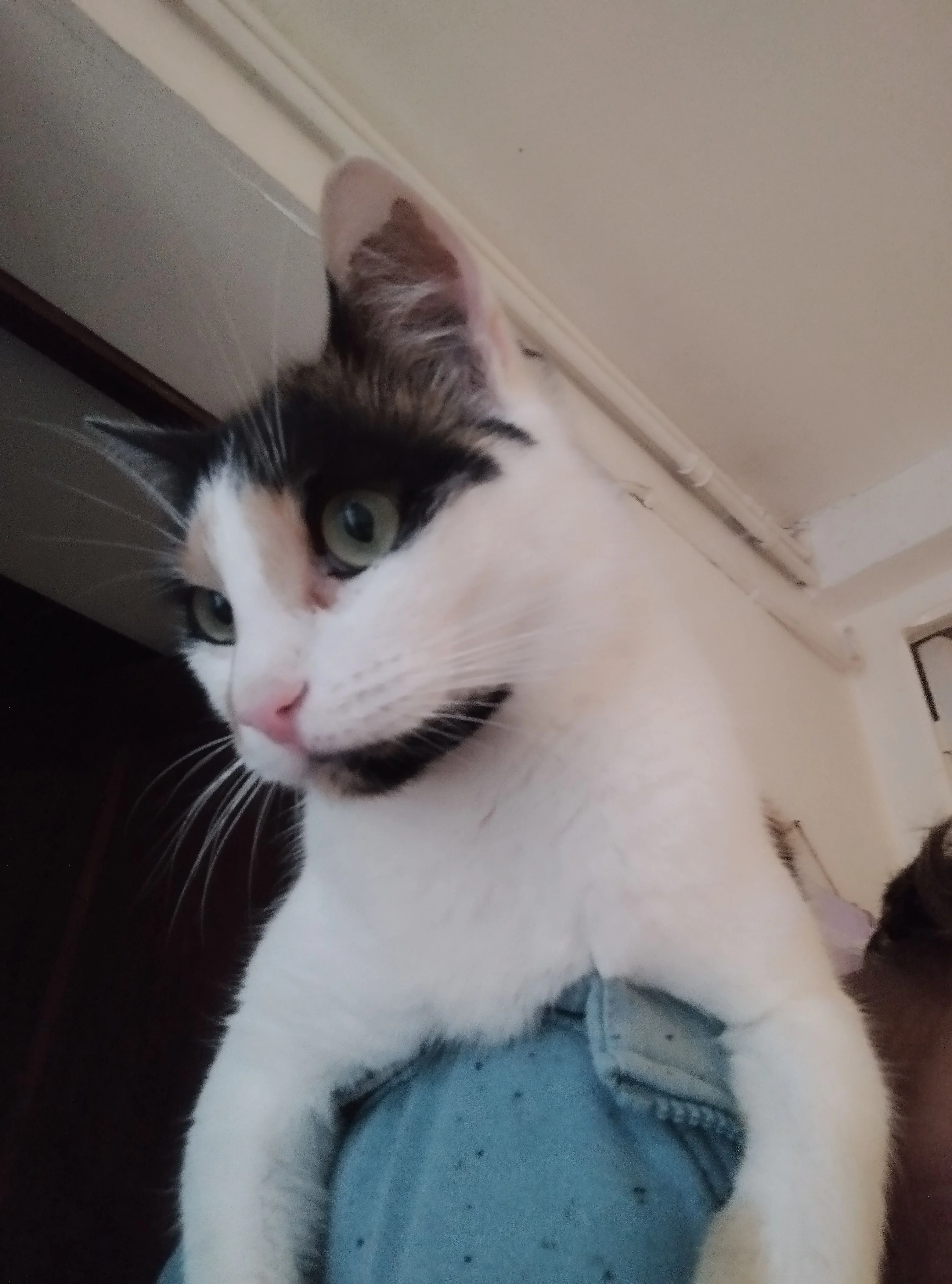 Image de profil