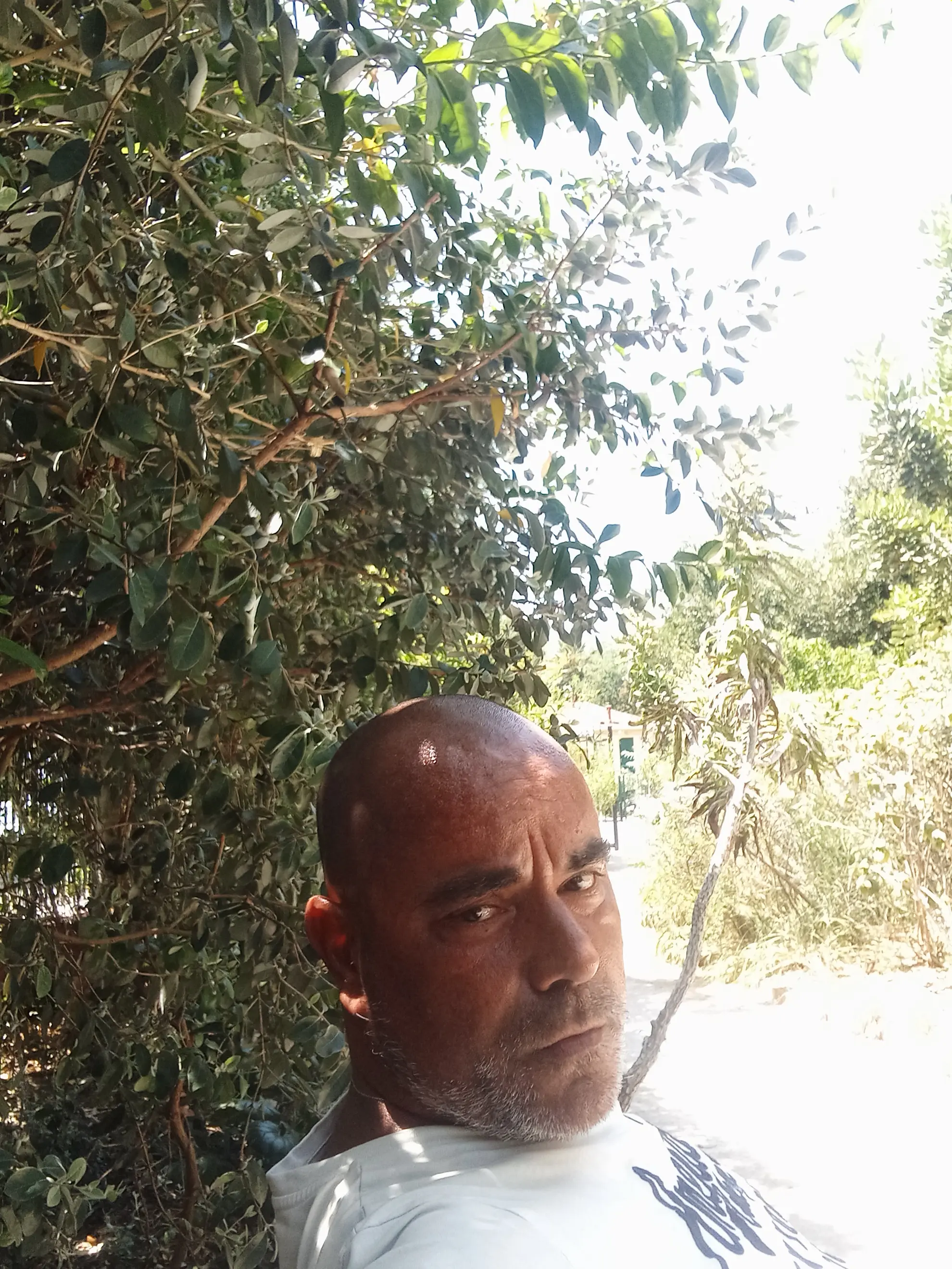 Image de profil