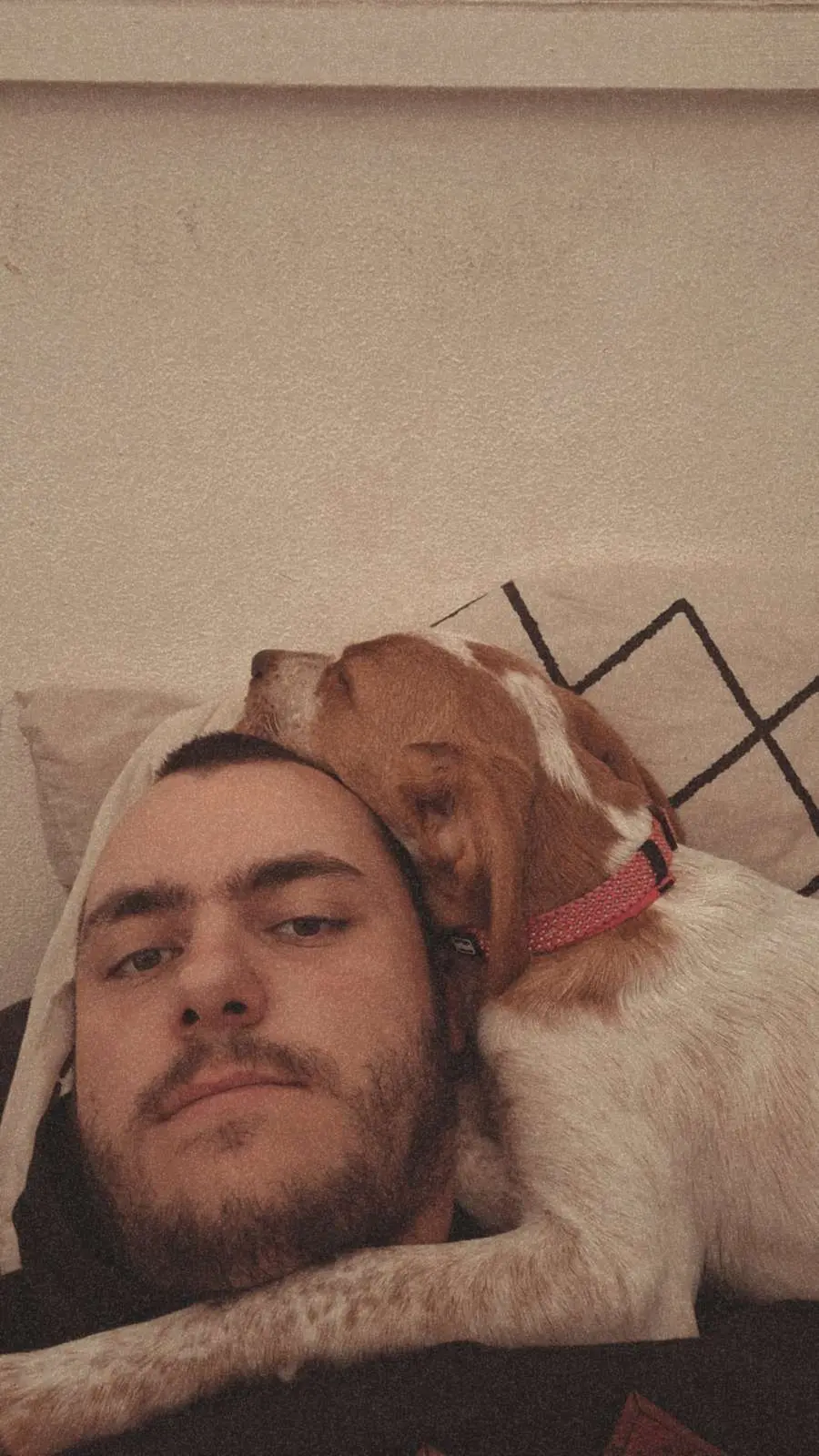 Image de profil