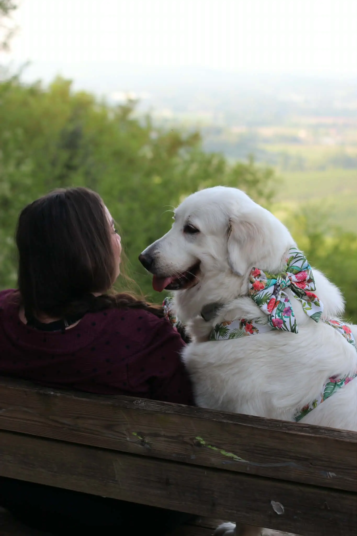 Image de profil