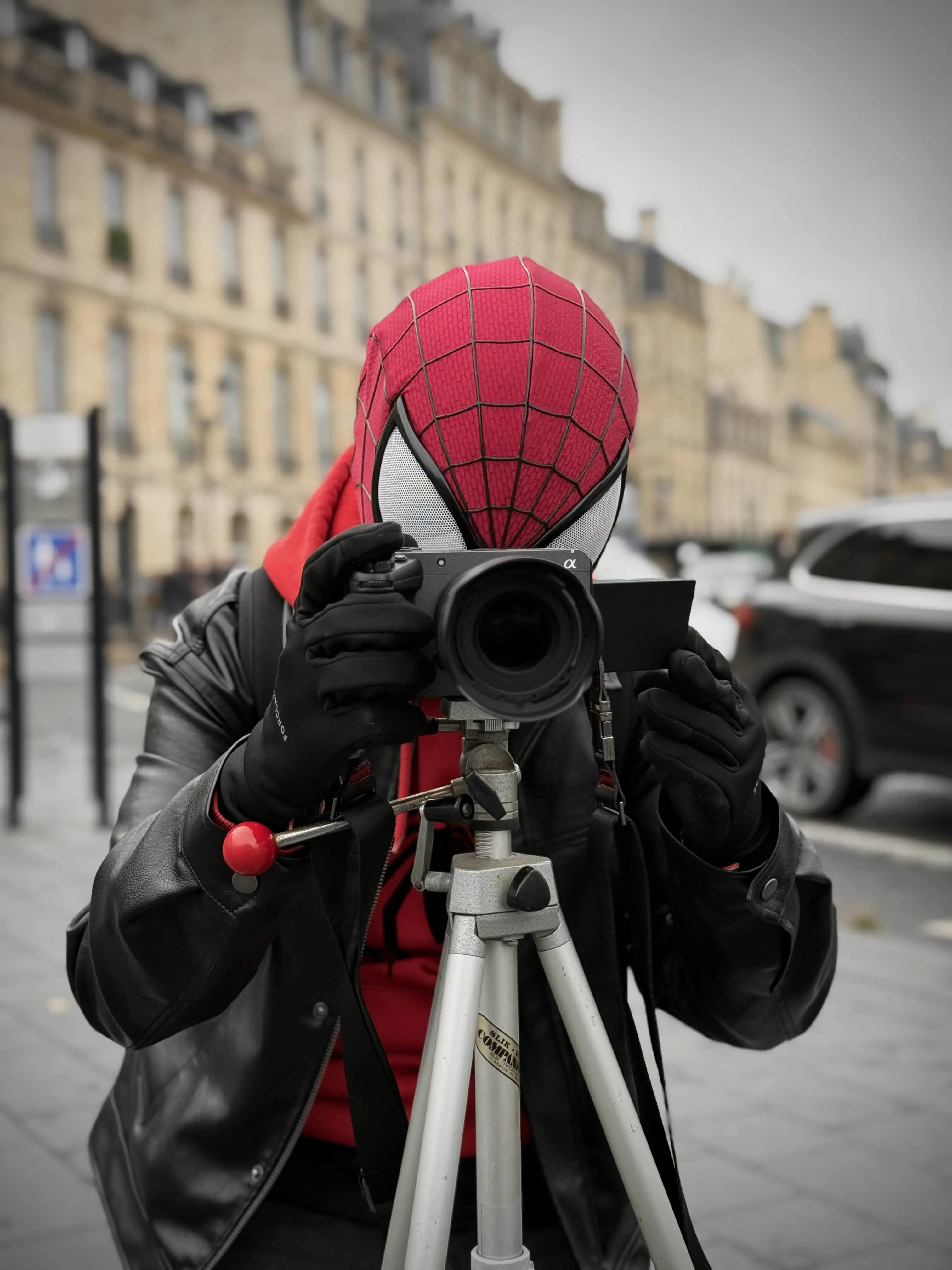 Image de profil